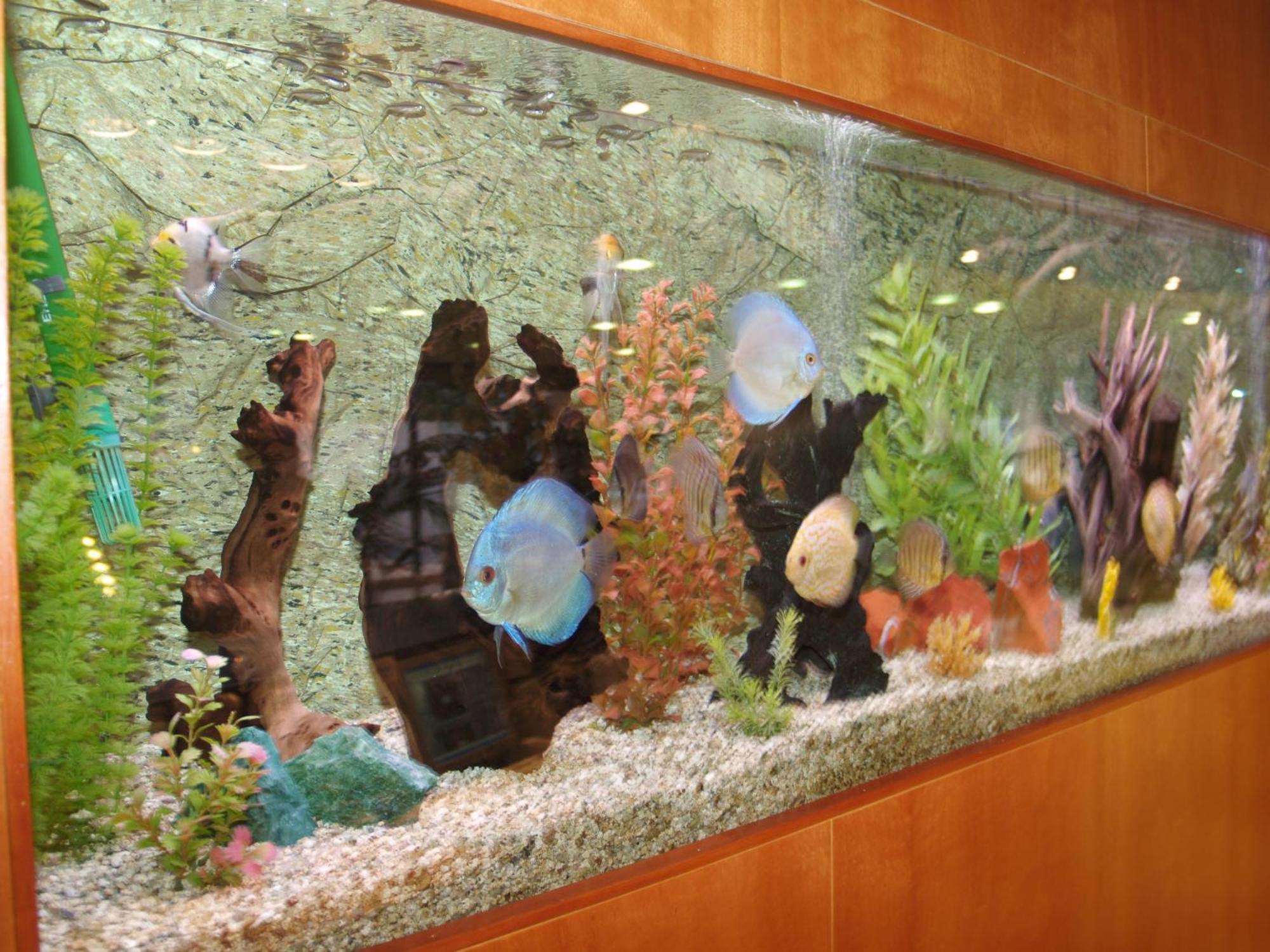 Hotel Montemar Maritim Santa Susanna Bagian luar foto